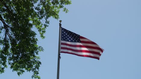 An-American-flag-waving-in-the-wind-with-a-tree-branch-also-in-frame