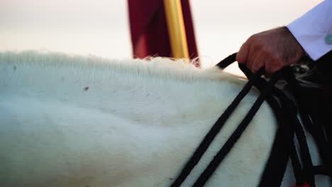 Close-up-on-a-knight-hand-and-his-horse