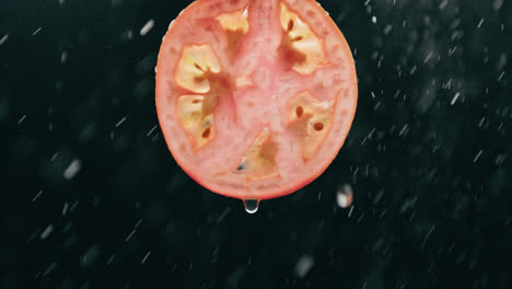 Tomato-Slice-Splashed-by-Water-Droplet-Mist-with-Liquid-Drip-in-Slow-Motion-Backlit-Black-Background