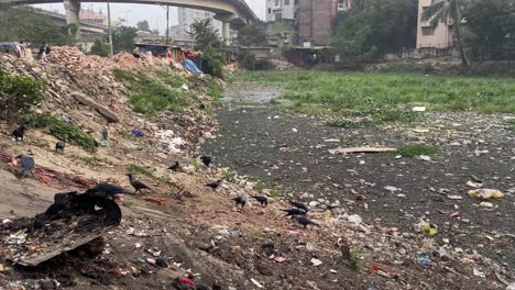 Dhaka-city-suburbs-covered-in-garbage-everywhere,-pan-right-view