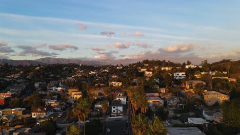 Aerial-view-flying-in-middle-of-a-Palm-tree-road-in-Elysian-Park,-sunny-evening-in-Los-Angeles,-USA---rising,-drone-shot