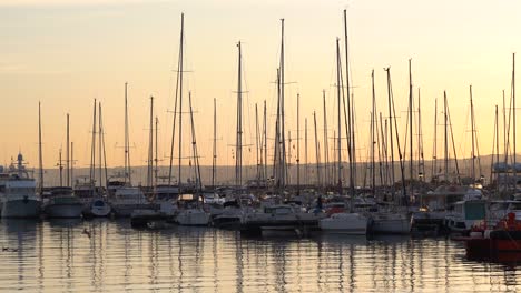 Many-sailing-yachts-parked-inside-ship-harbor-during-beautiful-sunset