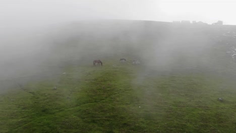 Luftaufnahme-Von-Wildpferden,-Die-Mit-Rollenden-Wolken-Im-Paviantal-In-Kaschmir-Auf-Einem-Hügel-Spazieren-Gehen