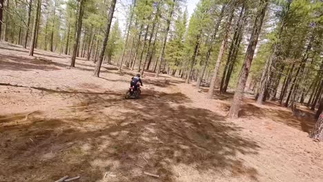 Drone-follows-motocross-rider-through-trees-on-a-single-track-course,-60fps