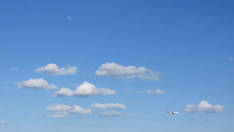 Wunderbarer-Blauer-Himmel-Mit-Flugzeug-Im-Flug-Und-Vogel-In-Der-Nähe