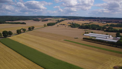 Countryside-agricultural-fields,-view-from-above-on-cultivated-wheat-fields