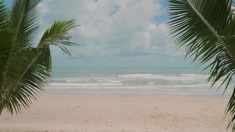 Beachfront-view-through-palm-leafs,-tranquil-seascape-at-tropical-summer-destination,-Static-shot