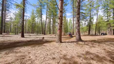 Wide-shot-race-drone-and-dirt-biker-through-forest-trees,-60fps