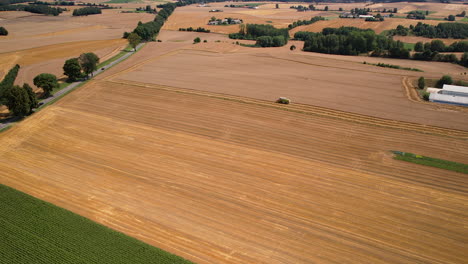 Panoramablick-über-Die-Landwirtschaftlichen-Felder-In-Der-Polnischen-Landschaft