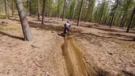 Race-drone-motocross-rider-far-away-to-close-up-in-forest-singletrack,-60fps