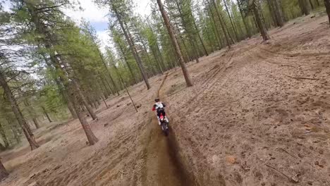 Drone-follows-single-female-motocross-rider-through-trees-at-speed,-60fps