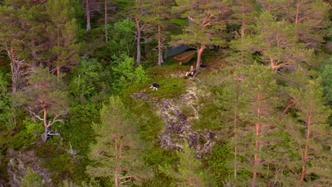 Männlicher-Wanderer-Hängematte-Camping-Mit-Hundebegleiter-Im-Bergwald