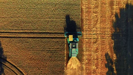 Bird's-Eye-View-Of-Combine-Harvester-At-Work-During-Harvest-In-An-Agricultural-Field-In-Lithuania---drone-shot