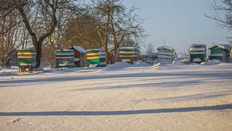Timelapse-shot-of-honey-bee-boxes-covered-with-snow-on-a-cold-winter-day