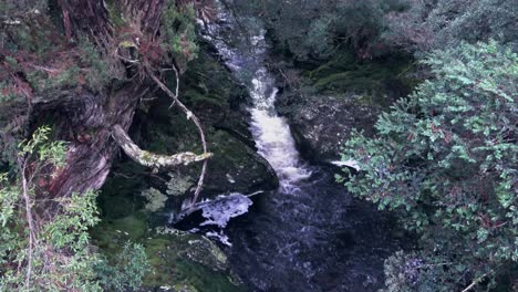 Blick-Von-Oben-Auf-Einen-Kleinen-Bach,-Der-Durch-Die-Felsen-In-Den-Darunter-Liegenden-Teich-Fließt