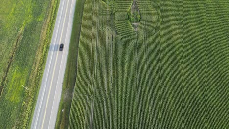 Power-lines-through-rural-countryside-aerial-reveal-establishing-shot,-tilt-up
