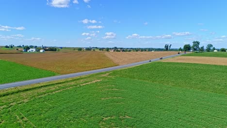 An-Aerial-View-of-a-Countryside-Road-With-An-Amish-Family-Walking,-While-a-Horse-and-Buggy-Approaches-and-an-Automobile-Passes-on-a-Sunny-Fall-Day