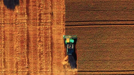 Harvester-Machine-Working-In-Wheat-Field-During-Summer---aerial-top-down