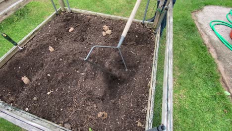 Raking-and-preparing-a-garden-plot-for-planting-potatoes