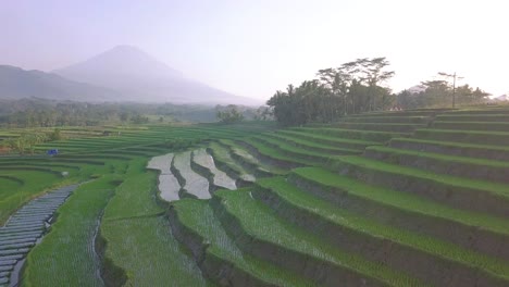Rural-view-of-tropical-Indonesia-with-view-of-flooded-terraced-rice-fields-with-gigantic-mountains-in-background-during-sun-rays-in-the-morning