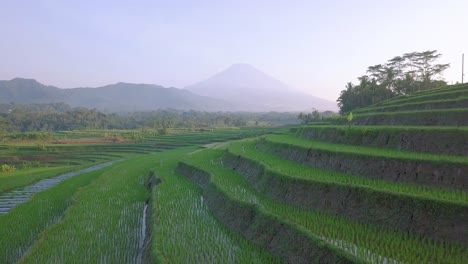 Gigantic-mountains-with-Flooded-terraced-rice-fields-in-foreground-during-sun-rays-in-the-morning