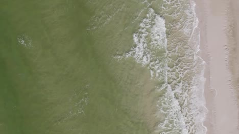 Vertikale-Luftaufnahme-Von-Ozeanwellen,-Die-Auf-Einen-Sandstrand-Rollen