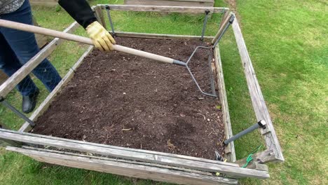 Raking-over-a-small-square-raised-vegetable-plot-for-potato-planting