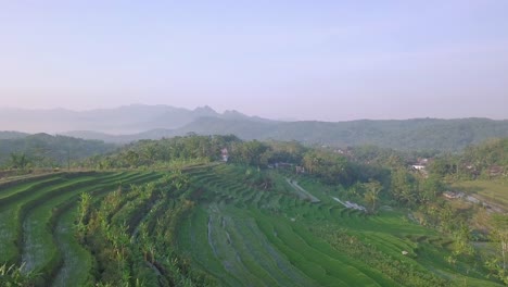 Tropische-Landschaft-Indonesiens-Mit-Blick-Auf-Terrassierte-Reisfelder-Mit-Hügeln-Und-Nebligem-Himmel-Im-Hintergrund-Bei-Sonnenstrahlen-Am-Morgen---Luftvorwärtsflug