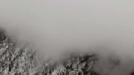 Nubes-Nubladas-Dosel-Nieve-Bosque-Montañas-En-El-Parque-Nacional-Nevado-De-Colima-En-México