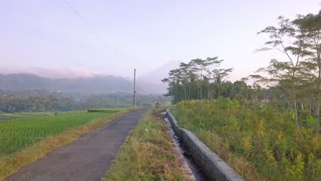 Road-in-the-middle-of-rice-fields-with-gigantic-mountains-in-background-during-sun-rays-in-the-morning