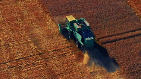 Aerial-View-Of-Combine-Harvester-In-Wheat-Field-In-Summer---drone-shot