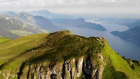 Aerial-flyover-around-Niederbauen-Chulm-in-Uri,-Switzerland-with-a-view-of-cows-grazing-and-mountain-peak's-tall-cliffs-above-Lake-Lucerne-on-a-summer-morning-in-the-Swiss-Alps