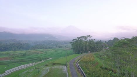 Aerial-trucking-shot-of-indonesian-wilderness-with-flooded-rice-fields-and-tropical-rainforest-in-background
