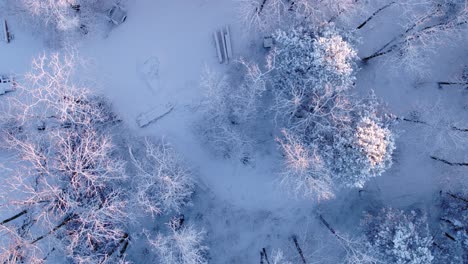 Drone-shot-looking-down-over-a-snow-covered-forest-while-rising-up