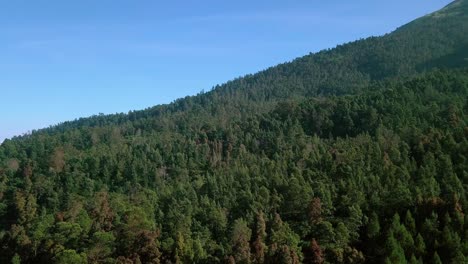 Luftaufnahme-Von-Waldbäumen,-Die-Auf-Bergen-Gegen-Blauen-Himmel-Und-Sonnenlicht-In-Indonesien-Wachsen