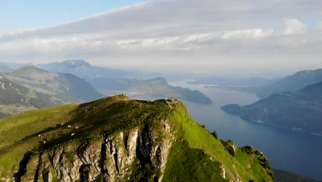 Vista-Aérea-De-Niederbauen-Chulm-En-Uri,-Suiza-Con-Una-Vista-Reveladora-Del-Lago-De-Lucerna-Y-Sus-Fiordos-Junto-Con-Vacas-Pastando-En-Una-Mañana-De-Verano-En-Los-Alpes-Suizos