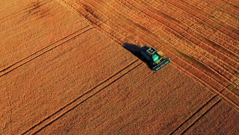 Harvesting-Crop-With-Agricultural-Machinery-In-Countryside-Of-Lithuania