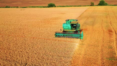 Combine-Harvester-Gathers-The-Wheat-Crop-In-A-Farm-Field-In-Lithuania---aerial-drone-shot