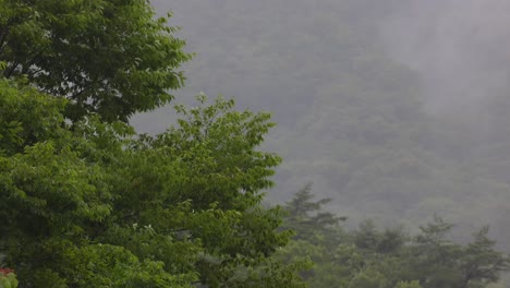 Scenery-of-heavy-rain-on-the-middle-of-mountain