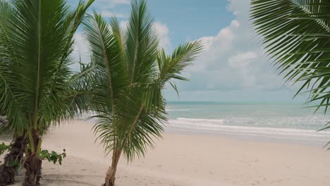 Palm-trees-waving-on-windy-day-on-Empty-tropical-beach,-Thailand-island,-Establishing-Shot