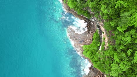 Top-down-drone-view-of-a-beach-with-a-forest-with-green-trees,-a-bright-light-blue,-rocks-and-sand