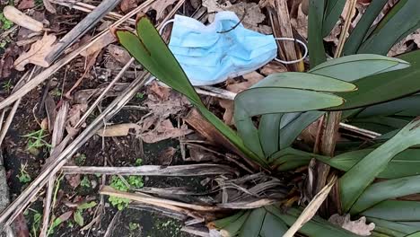 Blue-protective-face-mask-lying-littered-in-the-bush