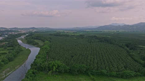 Vista-Aérea-De-Los-Campos-De-Plantaciones-Agrícolas-En-Villa-Altagracia-Y-Río-Haina-Durante-El-Atardecer