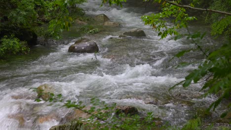 Water-flowing-down-the-stream-in-rainy-day
