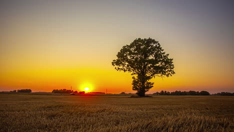 A-Car-Park-Near-Isolated-Tree-Silhouette-During-Sunset-Till-Sunrise-In-Countryside