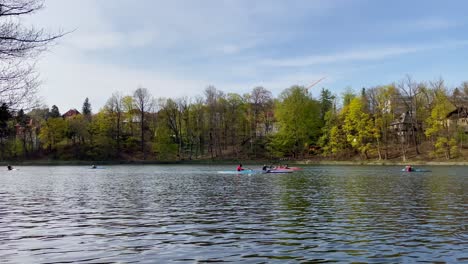 Group-of-kayakers-kayaking-in-Liberec-dam-or-lake,-Czech-Republic,-trees-and-brunches-in-foreground
