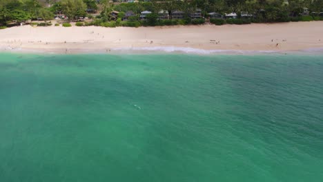 People-bathing-enjoying-summer-holidays-on-white-sandy-beach-and-blue-sea-water-of-North-Shore-Oahu,-Hawaii-island