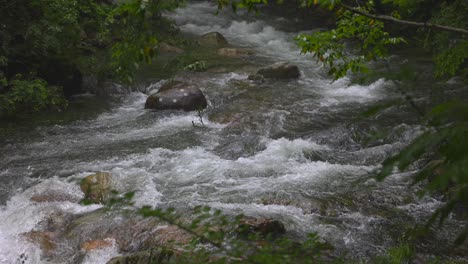 Slowmotion-video-of-water-flowing-down-the-stream-in-rainy-day