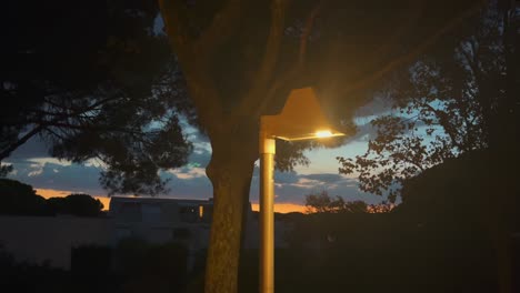Street-lamp-on-the-park-at-sunset