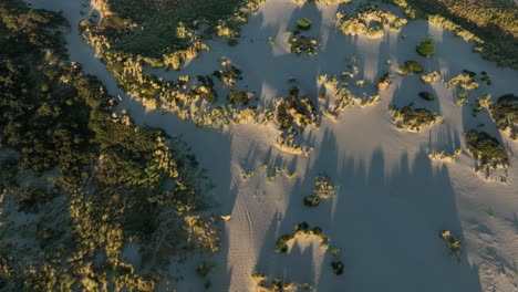 Wunderschöne-Filmische-Luftdrohnenaufnahme-Von-Stranddünen-Von-Hoek-Van-Holland-Während-Eines-Atemberaubenden-Goldgelben-Sonnenuntergangs